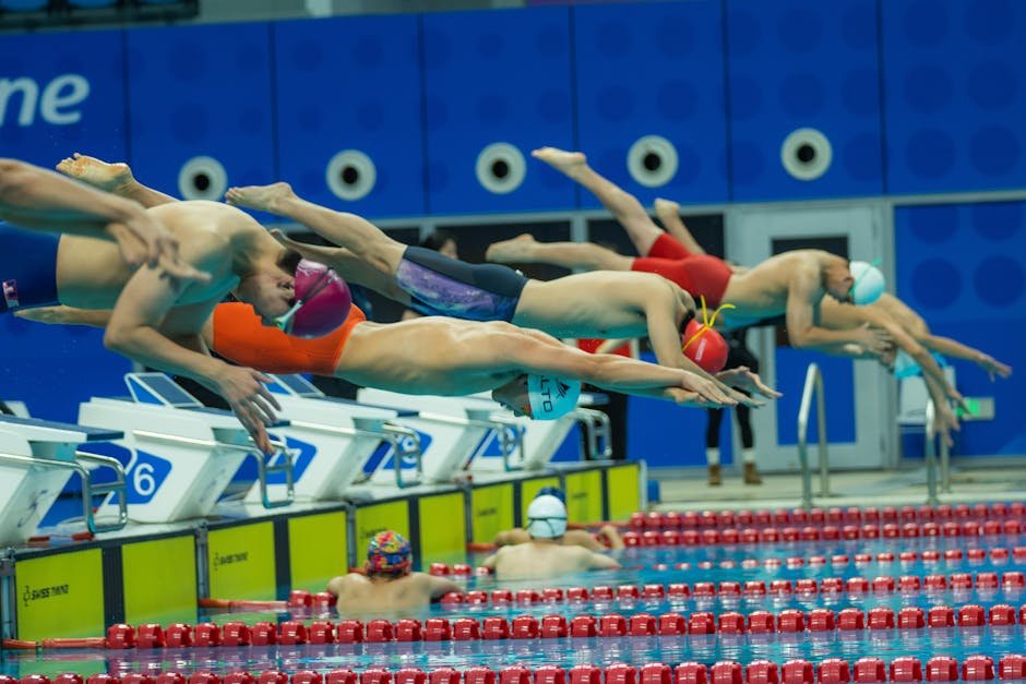 Free stock photo of swimming competition