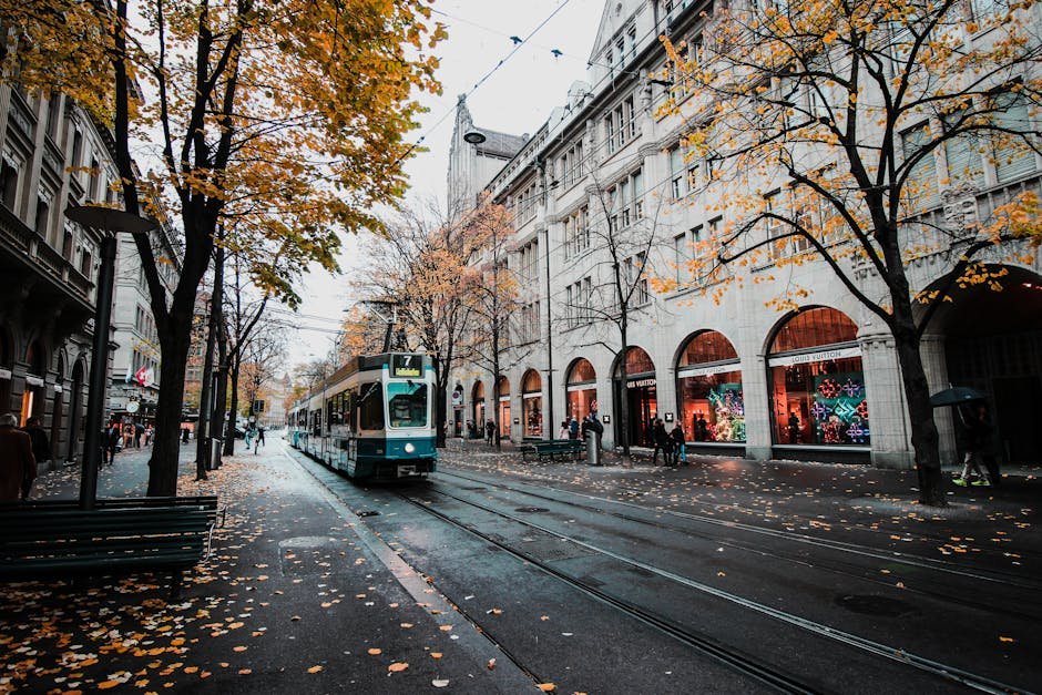 A tram travels down a leaf-strewn street in autumnal Zürich, Switzerland's urban landscape.