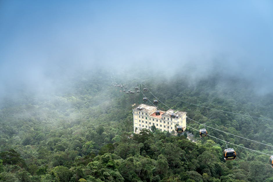 Aerial view of cable cars travelling over a misty mountain forest with a building.