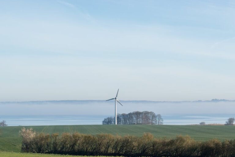 Wind turbine in a foggy field near Holb&aelig;k, Denmark, symbolizing alternative energy.