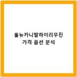 올뉴카니발하이리무진 가격 옵션 분석