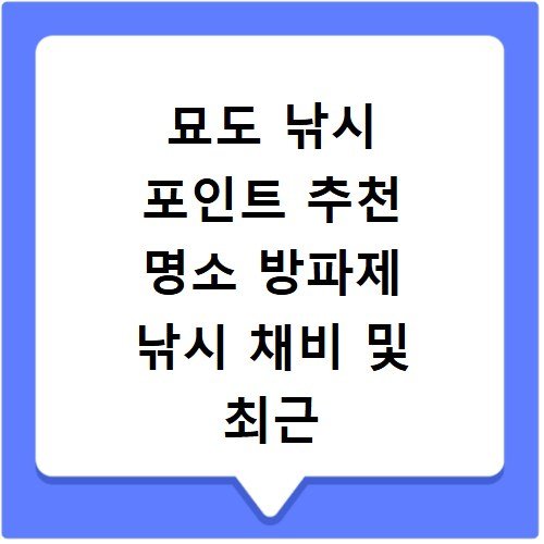 묘도 낚시 포인트 추천 명소 방파제 낚시 채비 및 최근 조황 정보